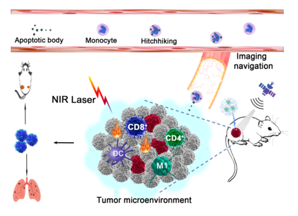 f7e8146067be466e8d027dd5419080ab.png image.png